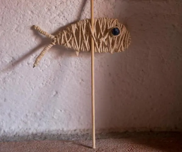 La Mansarda Nel Borgo テッラロ